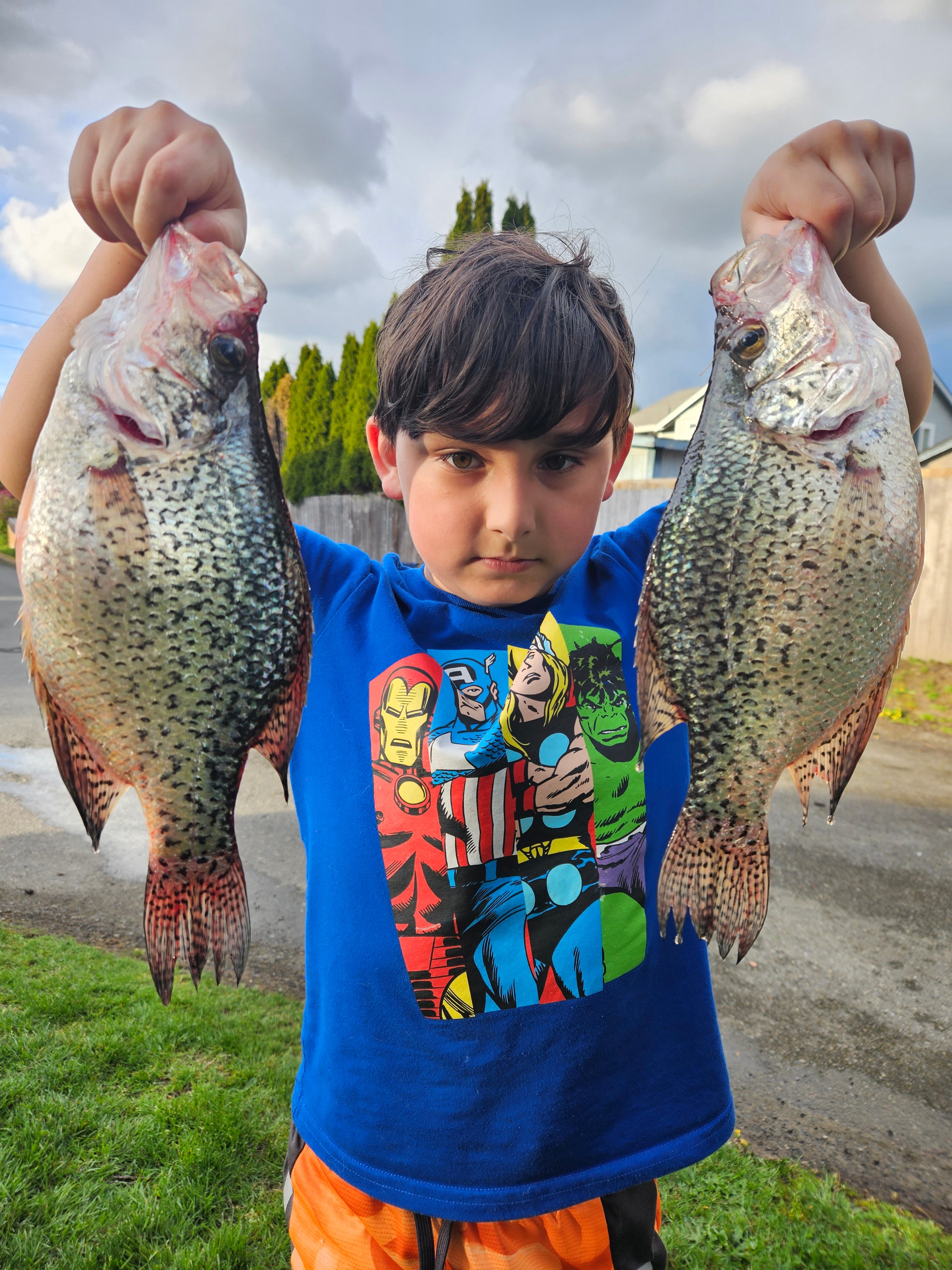 Hoy Fish Crappie – HoyFishing