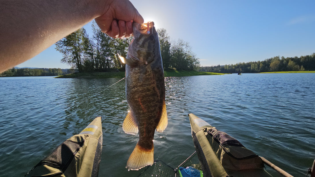 Small Mouth Bass