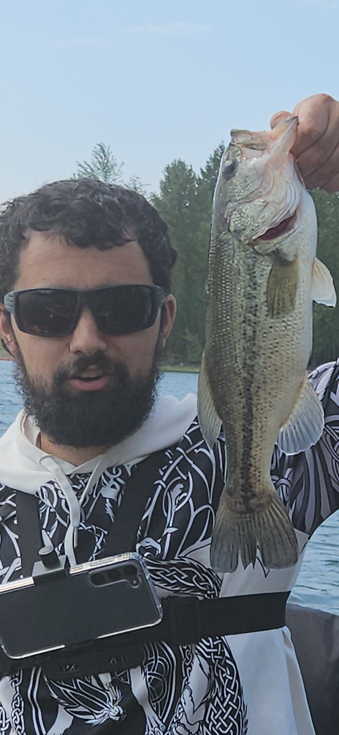 Large Mouth Bass – HoyFishing