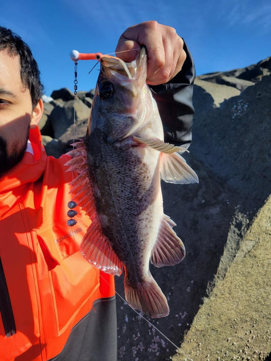 Fishing westport