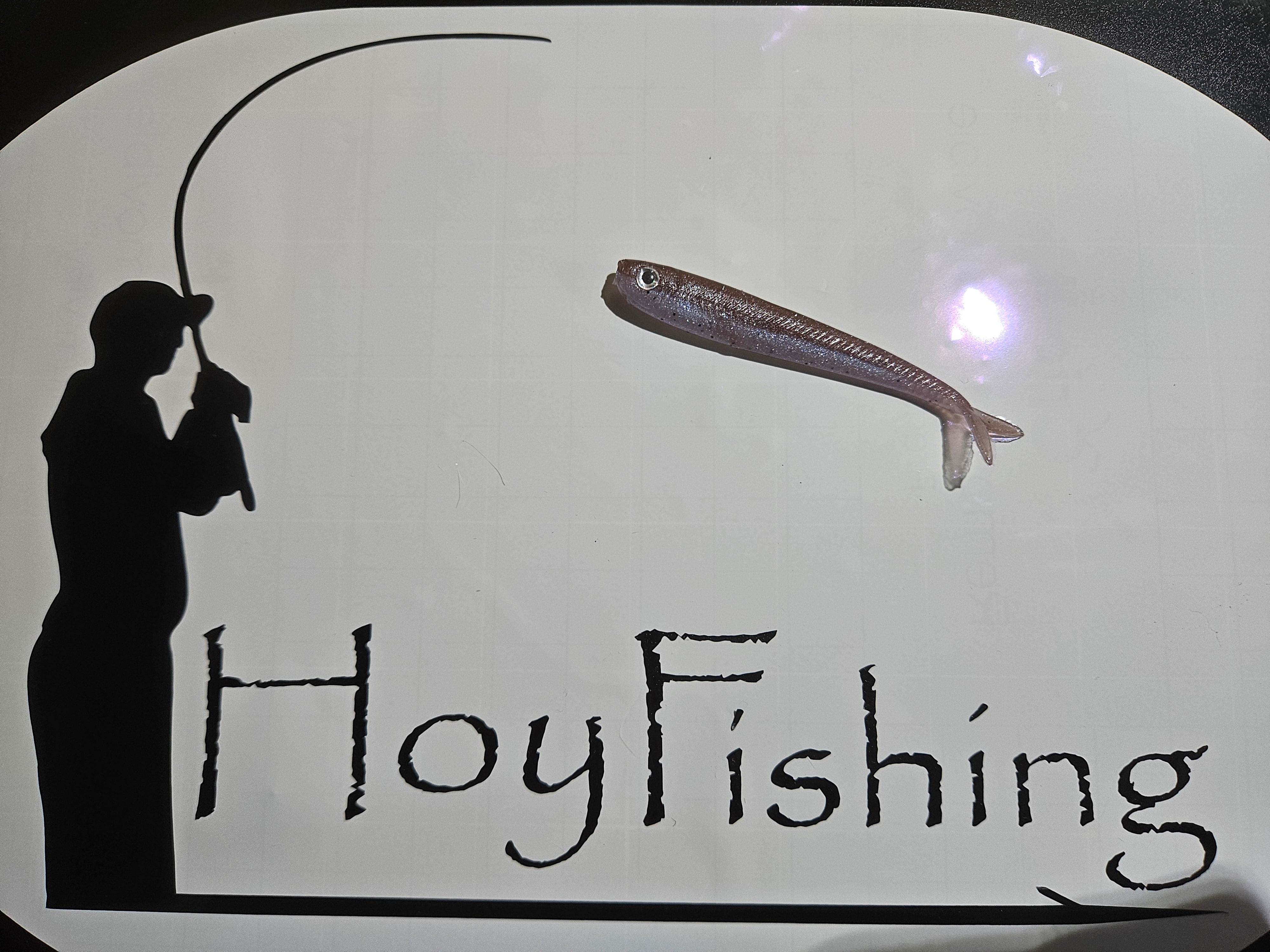 Hoy Fish soft plastics – HoyFishing